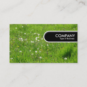 Rundad Kant Märkre - Dandelion Meadow 02 Visitkort