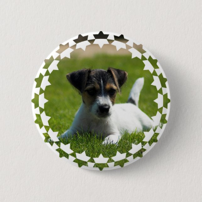 Rundan för den jackRussell valpen knäppas Knapp (Framsida)