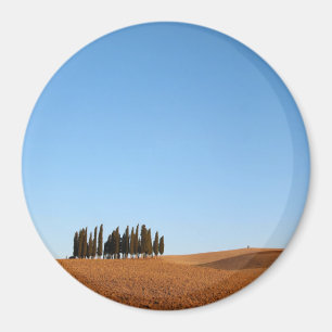 Rundan Tuscany landskap magneten med cypressträd Magnet