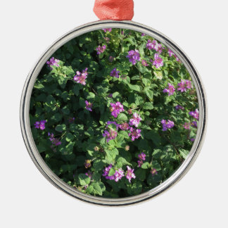 Rundaprydnad Julgransprydnad Metall