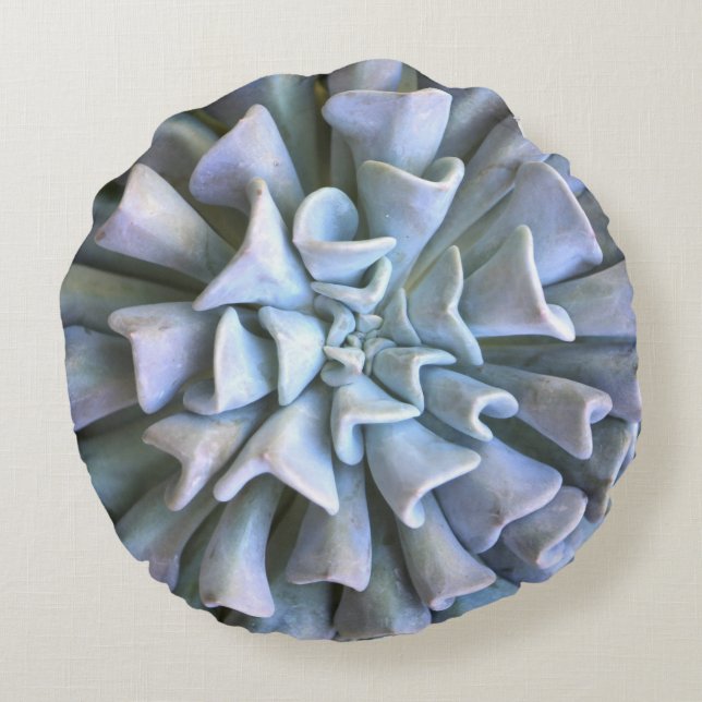 Rundasuckulentdekorativ kudde (Baksidan)