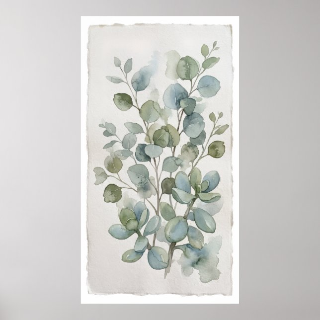 Rundbladig Eukalyptus Vattenfärgposter Poster (Framsidan)