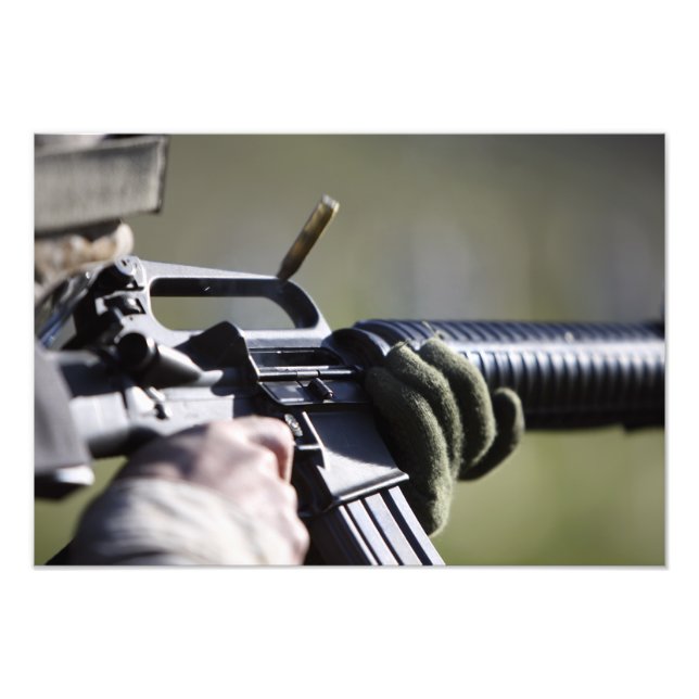 Rundflugor från kammaren i M-16A2 Fototryck (Framsidan)