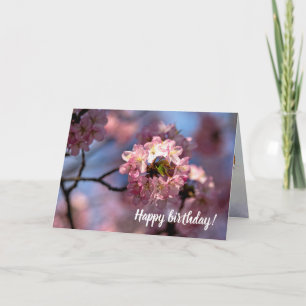 Rundkluster av Sakura Flowers i Bloom Kort