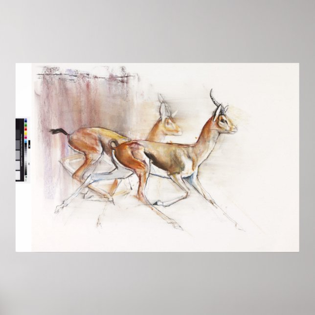 Running Arabian Gazelles 2010 Poster (Framsidan)