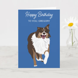 Running Australian shepherd Aussie Hund Kort