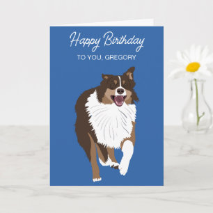Running Australian shepherd Aussie Hund Kort