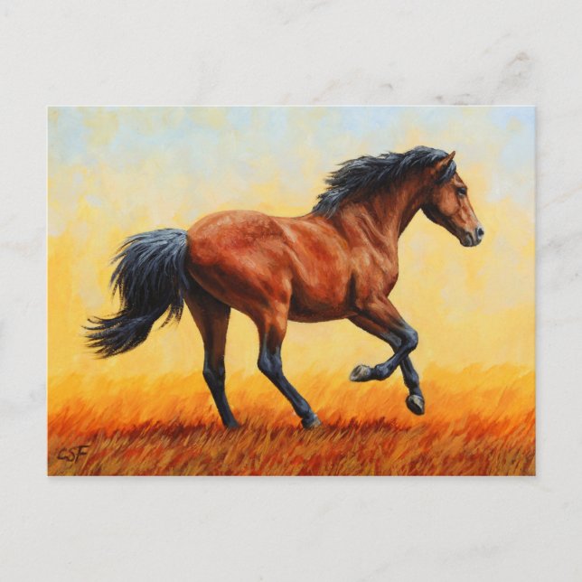 Running Bay Horse Vild Mustang Vykort (Framsida)