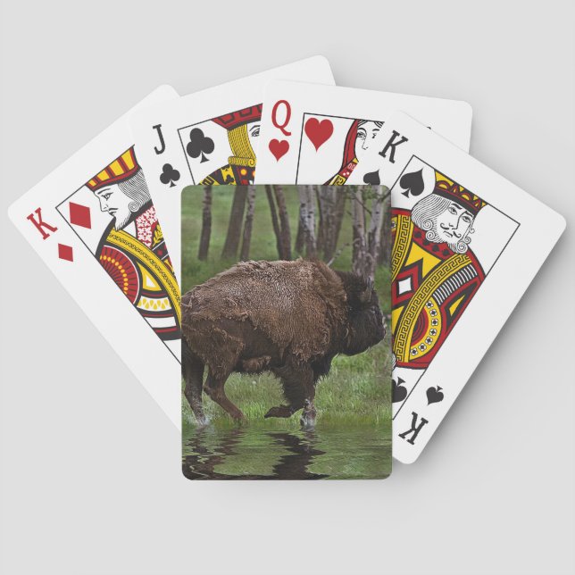 Running Buffalo & Forest, Bison-älskare Design Casinokort (Baksidan)