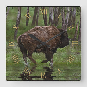 Running Buffalo & Forest, Bison-älskare Design Fyrkantig Klocka