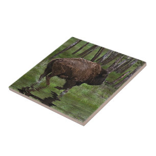 Running Buffalo & Forest, Bison-älskare Design Kakelplatta