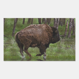 Running Buffalo & Forest, Bison-älskare Design Rektangulärt Klistermärke