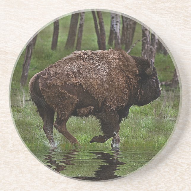 Running Buffalo & Forest, Bison-älskare Design Underlägg (Framsidan)