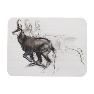 Running Chamois Magnet
