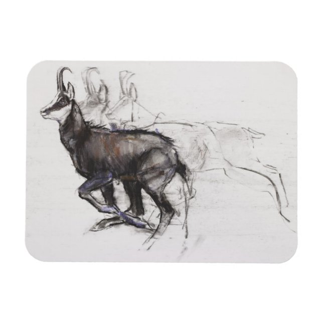 Running Chamois Magnet (Horisontell)
