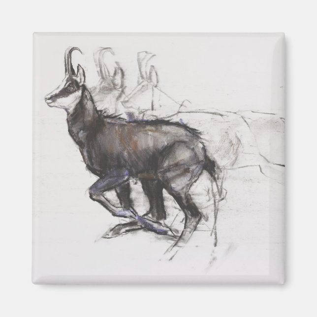 Running Chamois Magnet (Framsidan)