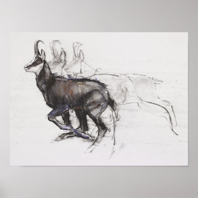 Running Chamois Poster (Framsidan)