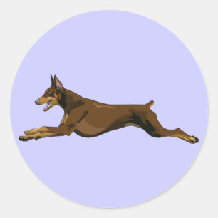Running Doberman, Red Runt Klistermärke