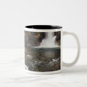 Running Eagle Falls aka Trick Falls i Two Två-Tonad Mugg