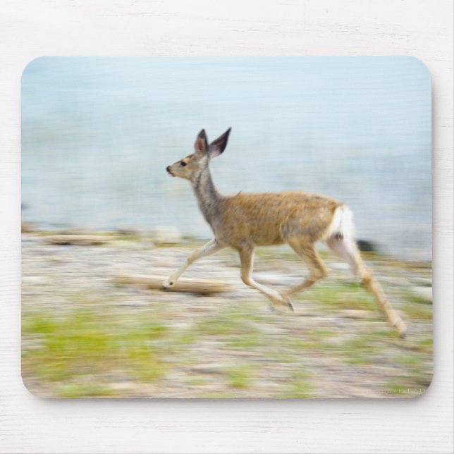 Running Fawn Mousepad Musmatta (Framsidan)