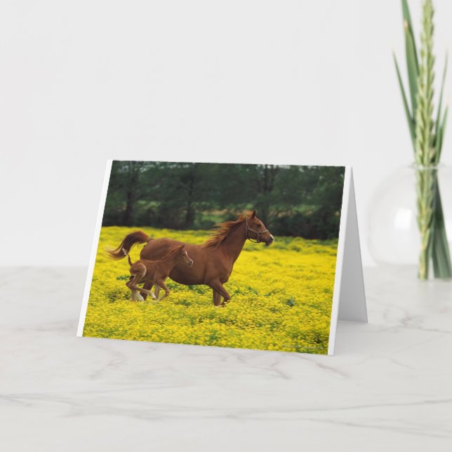 Running free kort (Framsida)