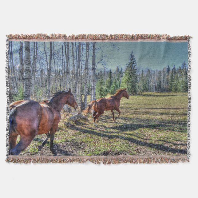 Running Herd of Horses Photo on a BC Ranch 3 Mysfilt (Framsidan)