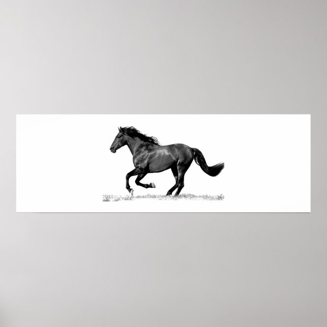 Running Horse Black White Poster (Framsidan)