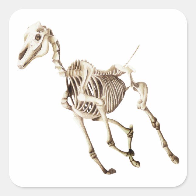 Running Horse Skeleton Fyrkantigt Klistermärke (Framsida)
