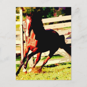 Running Horse Vykort