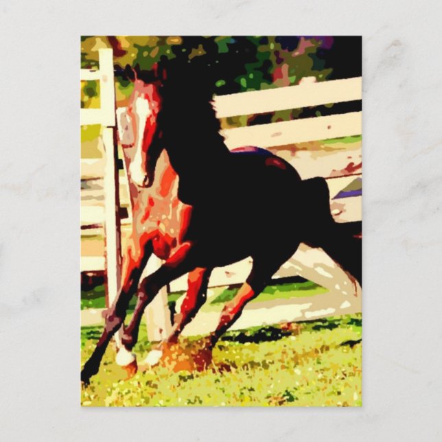 Running Horse Vykort (Framsida)
