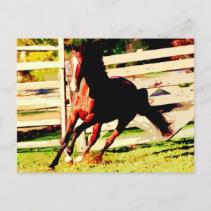 Running Horse Vykort