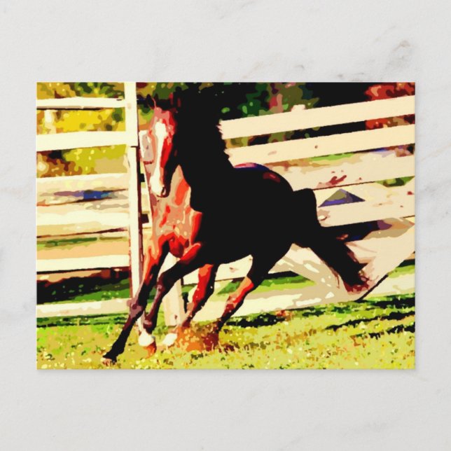 Running Horse Vykort (Framsida)