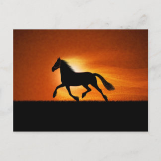 Running Horse Vykort