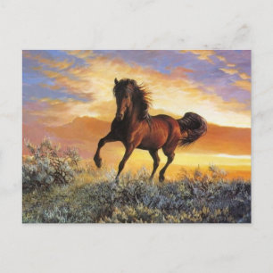 Running Horse Vykort