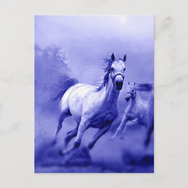 Running Horse Vykort (Framsida)