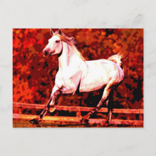 Running Horse Vykort