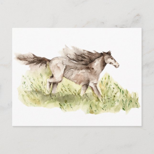 Running Horse Vykort (Framsida)