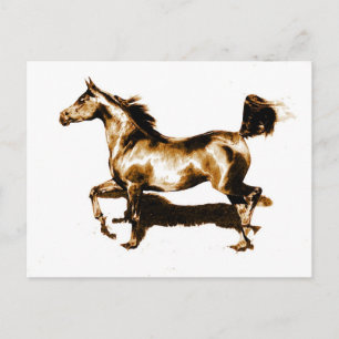 Running Horse Vykort