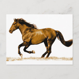 Running Horse Vykort