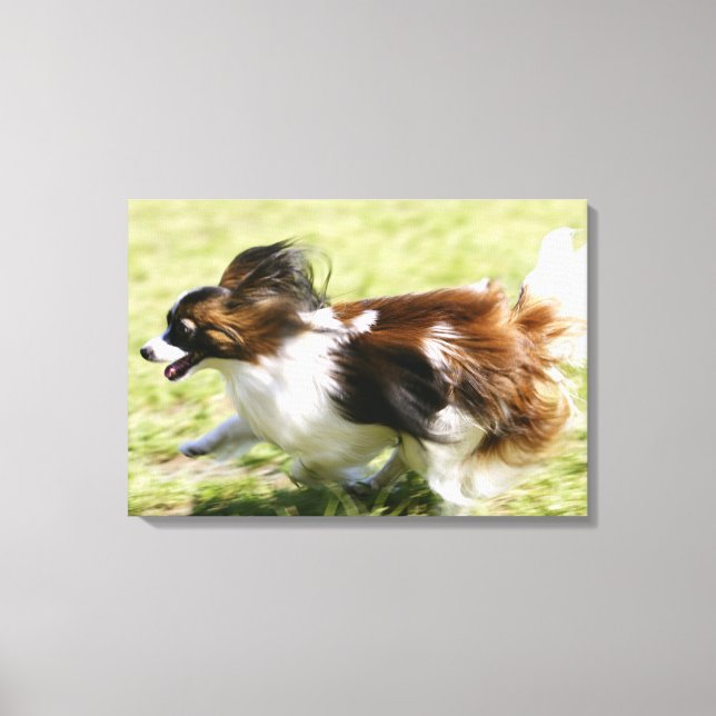 Running Papillon Canvastryck (Framsida)