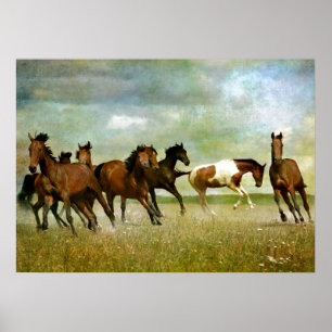 Running Vild Horses - Vintage Kreativ Art Poster