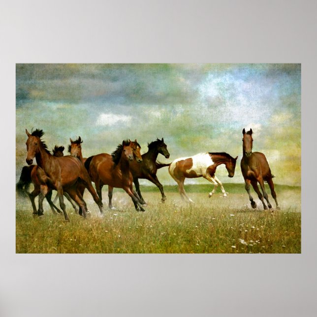 Running Vild Horses - Vintage Kreativ Art Poster (Framsidan)