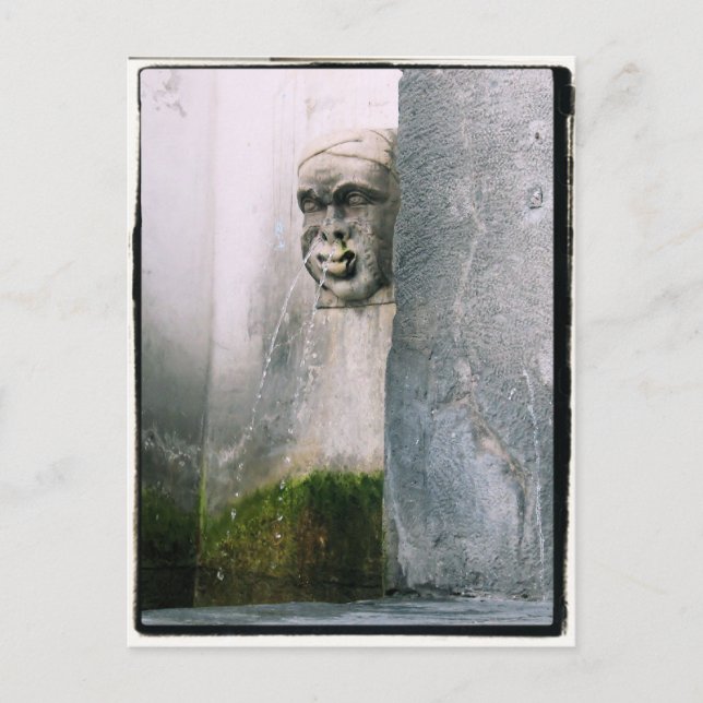 Runny Nose?   Fontän i Verona, Italien Vykort (Framsida)