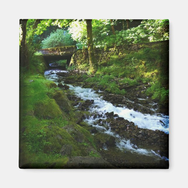 Runoff from Wahkeena Falls, Oregon Magnet (Framsidan)