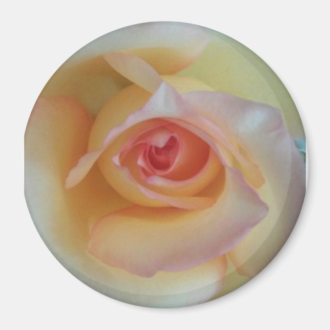 runt fotomagnet magnet (Framsidan)