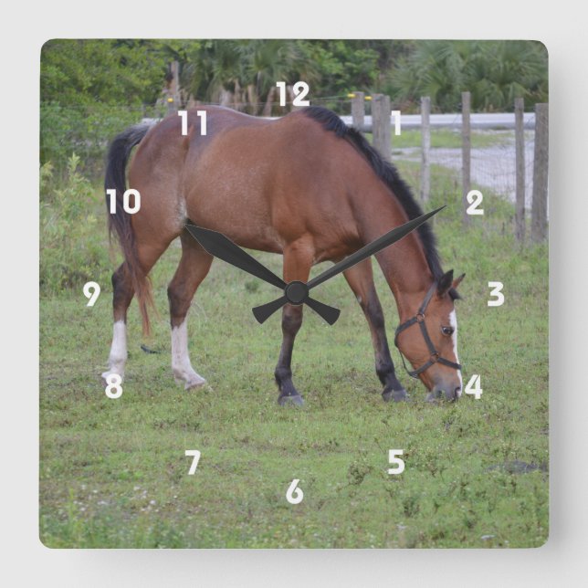 Runt och vitt hästbetesdjur rund klocka (Framsida)