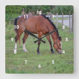 Runt och vitt hästbetesdjur rund klocka