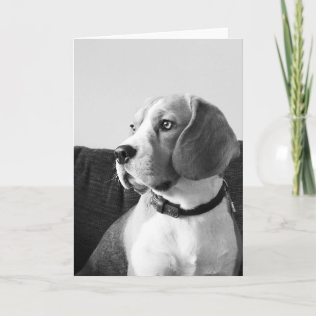 Rupert-Beagle Hund Blank Hälsning Card Kort (Framsida)
