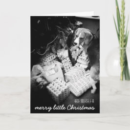 Rupert, Beagle-julkortet Helgkort