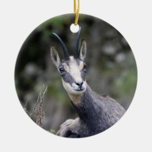 Rupicapra rupicapra julgransprydnad keramik